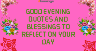 100+ Good Evening Quotes and Blessings to Reflect on Your Day