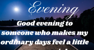 100+ Sweet Good Evening Messages for Someone Special