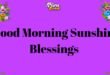 180+ Good Morning Sunshine Blessings to Brighten Your Day